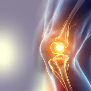 Joint & Bone Support
